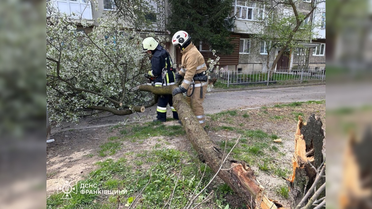Ліквідація наслідків негоди на Івано-Франківщині. Фото: ГУ ДСНС України в Івано-Франківській області