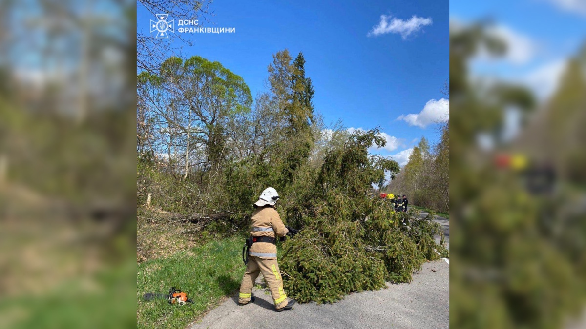 Ліквідація наслідків негоди на Івано-Франківщині. Фото: ГУ ДСНС України в Івано-Франківській області