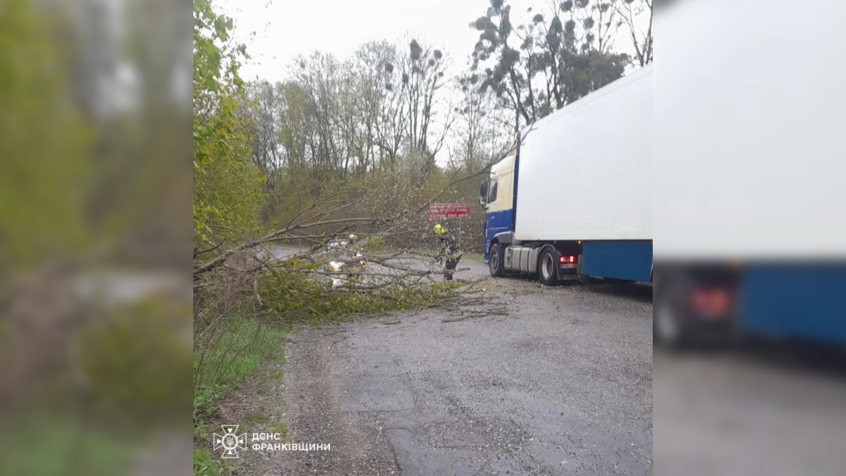 Ліквідація наслідкій негоди на Івано-Франківщині. Фото: ГУ ДСНС України в Івано-Франківській області