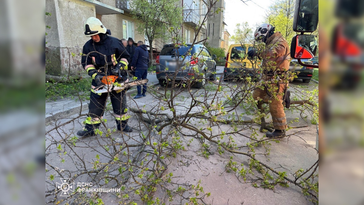 Ліквідація наслідків негоди на Івано-Франківщині. Фото: ГУ ДСНС України в Івано-Франківській області