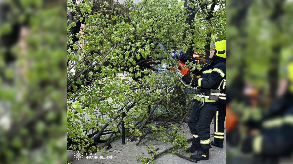 Ліквідація наслідкій негоди на Івано-Франківщині. Фото: ГУ ДСНС України в Івано-Франківській області
