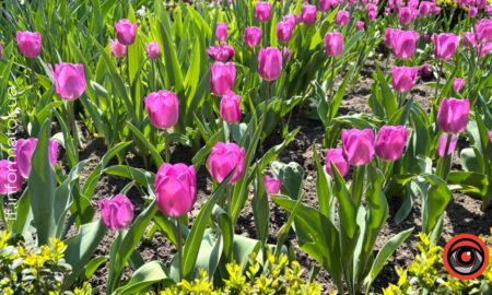 Якою буде погода на Прикарпатті у перший день травня