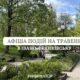Вистави, мистецькі експозиції і фестивалі: куди піти в Івано-Франківську у травні