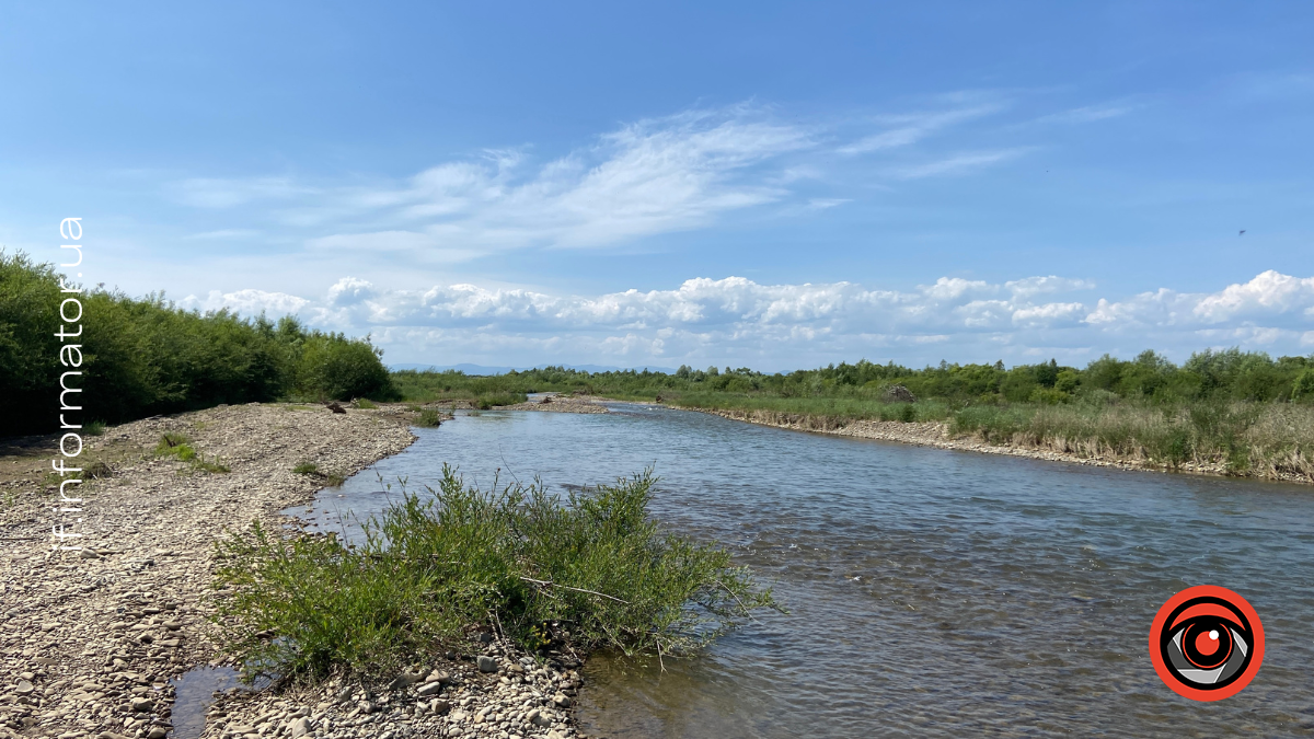 Напередодні купального сезону у Франківську очистили водойми