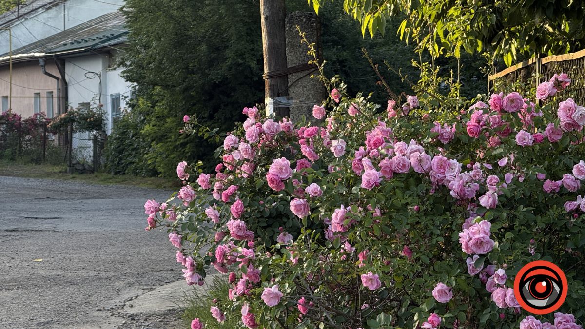 календар городника