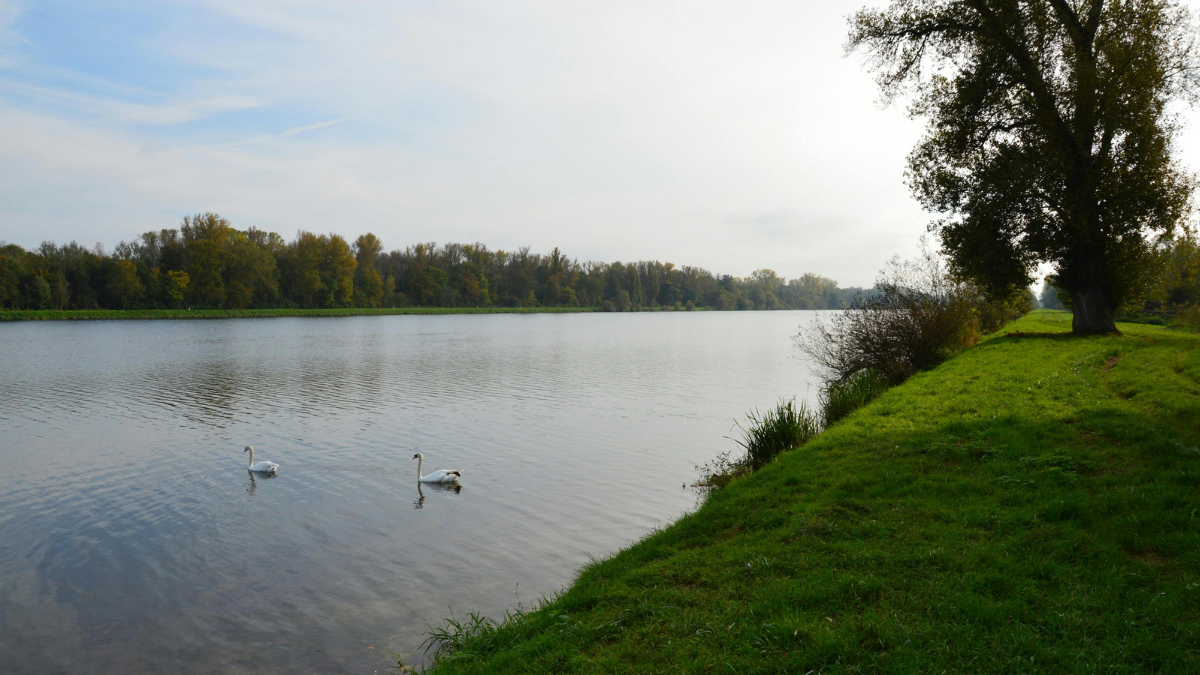 Водойма