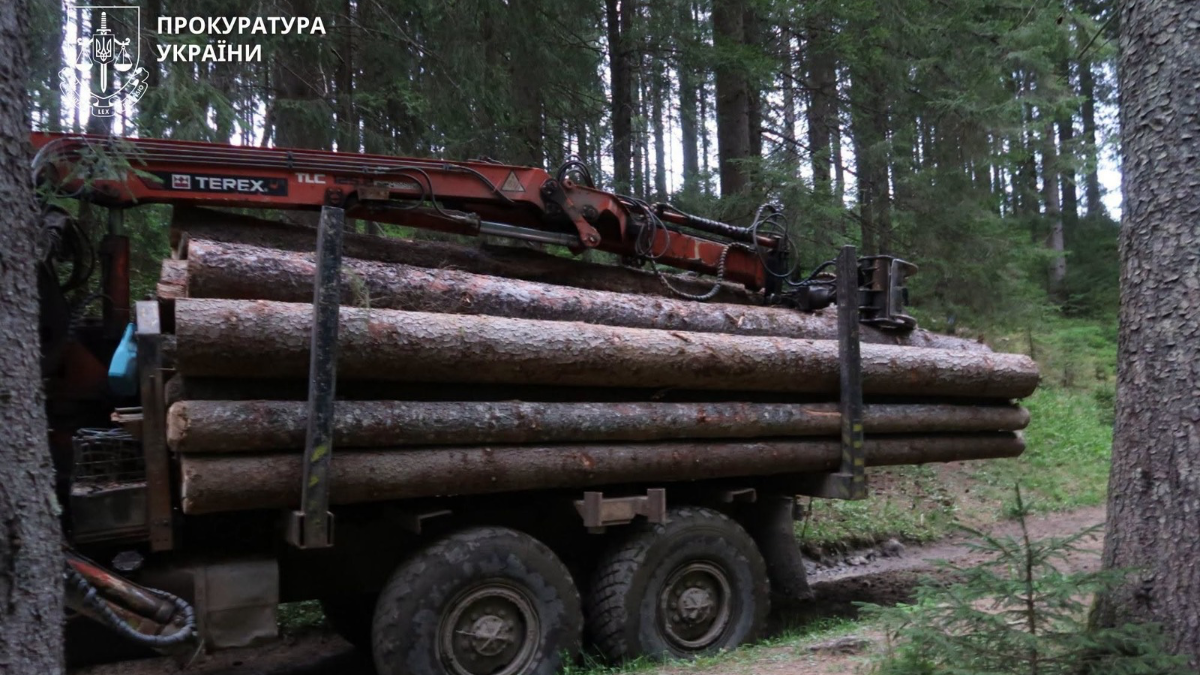 На Прикарпатті за перевезення заповідної деревини судитимуть двох чоловіків