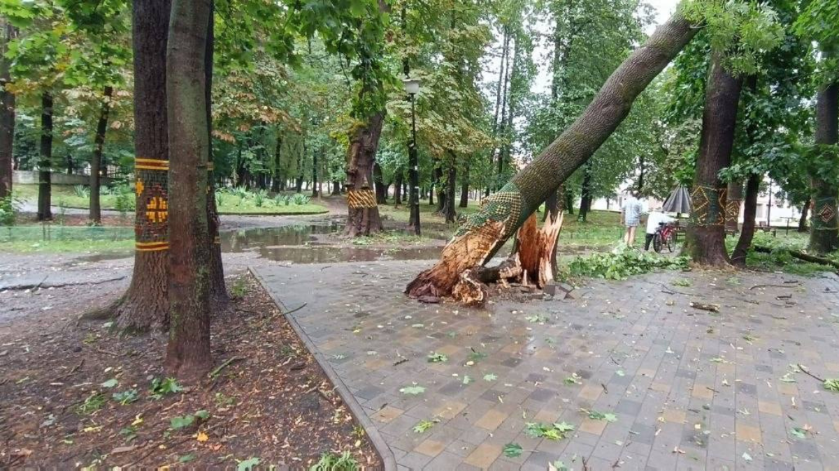 наслідки негоди у Коломиї 18 липня