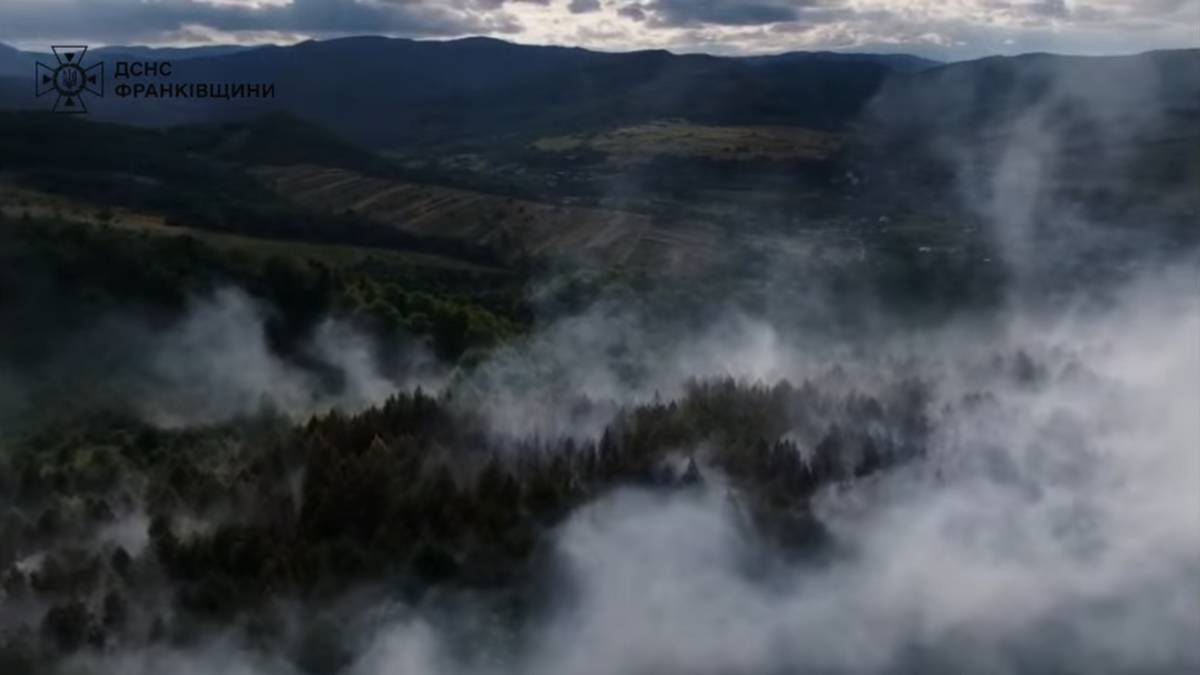 На Івано-Франківщині вже другу добу горить ліс