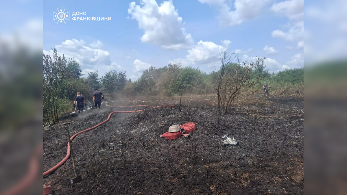 На Прикарпатті за добу ліквідували 21 пожежу в екосистемах: де триває гасіння