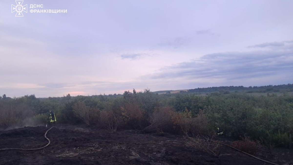На Прикарпатті триває ліквідація пожеж