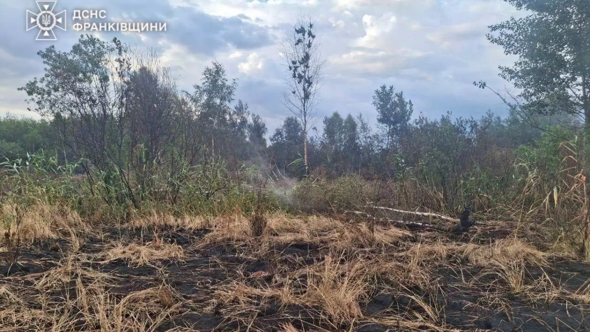 У Франківському районі горів торф