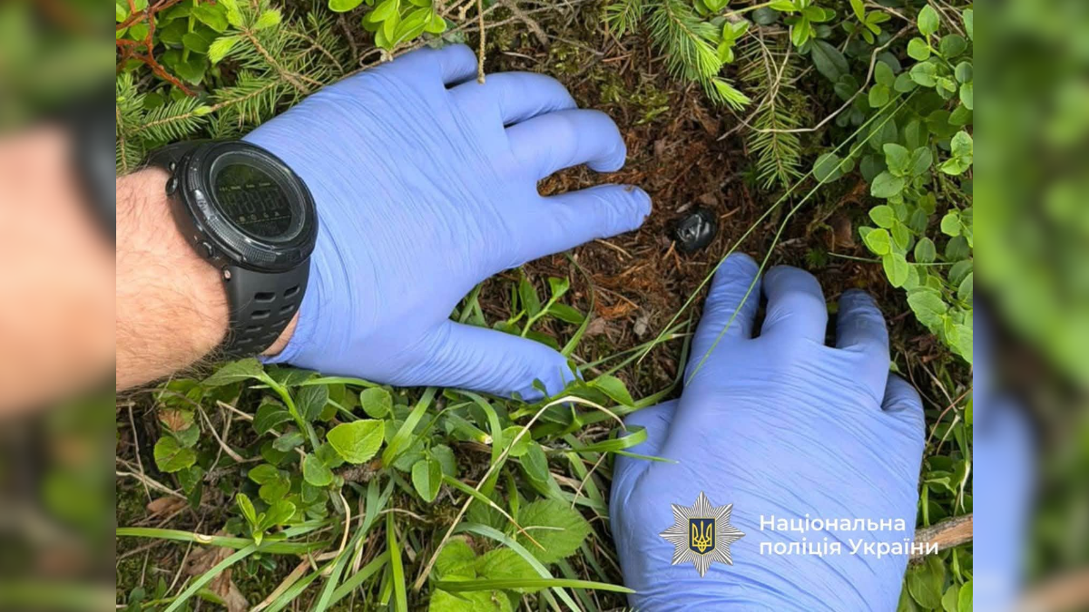 Ховала наркотики в лісі: на Франківщині судитимуть 19-річну дівчину