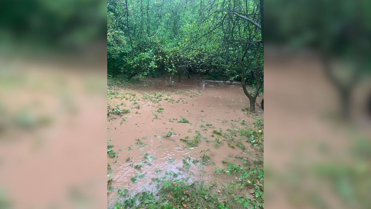 Гідрологічна посуха у Галицькому НПП