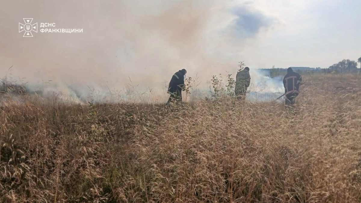 На Прикарпатті горить сухостій: одну пожежу ліквідували, іншу — ще гасять