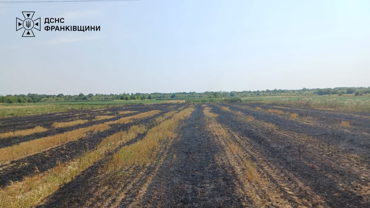 3 серпня на Івано-Франківщині у селі Радча під час ліквідації пожежі сухої трави надзвичайники виявили тіло людини