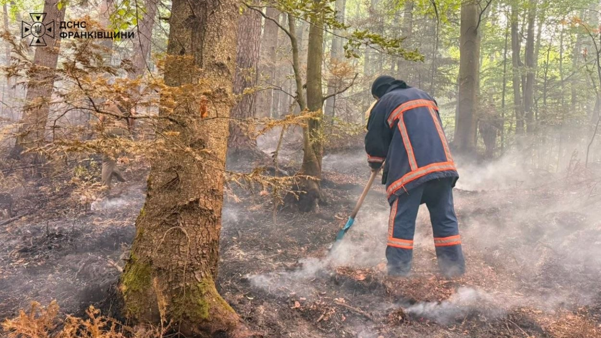 На Прикарпатті за добу ліквідували сім пожеж в екосистемах