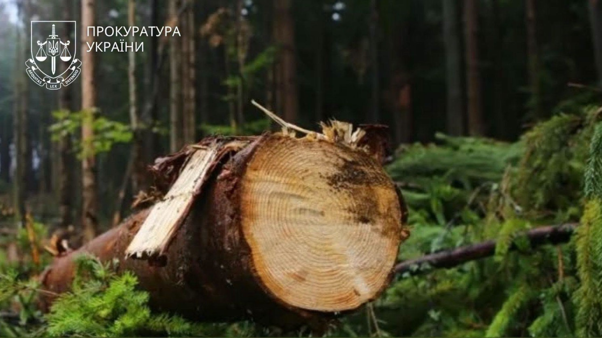 Карпатський нацпарк має сплатити майже 600 тис грн шкоди, завданої довкіллю
