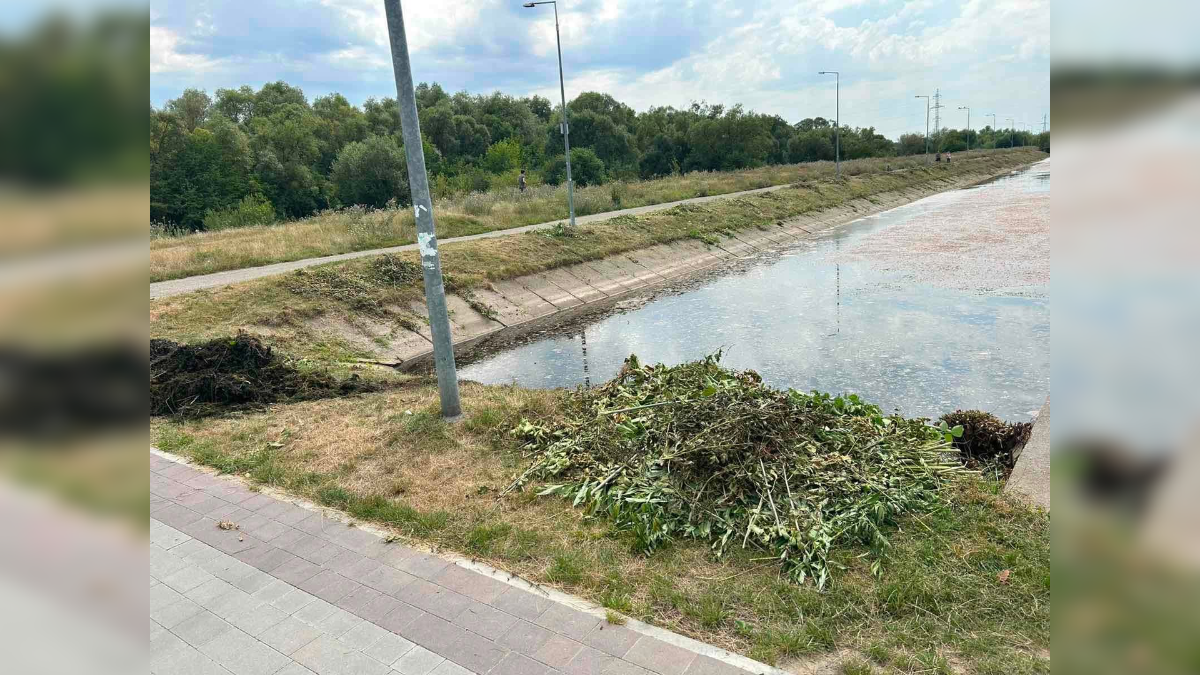 У Франківську на Німецькому озері через посуху знизився рівень води