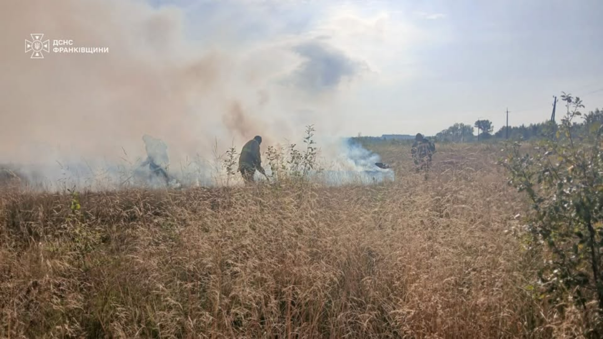 26 пожеж за добу: на Прикарпатті горіла суха рослинність