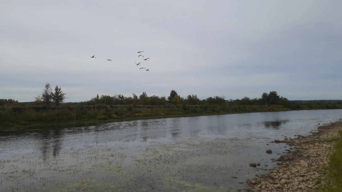 Річка Лімниця. Фото: Галицький національний природний парк
