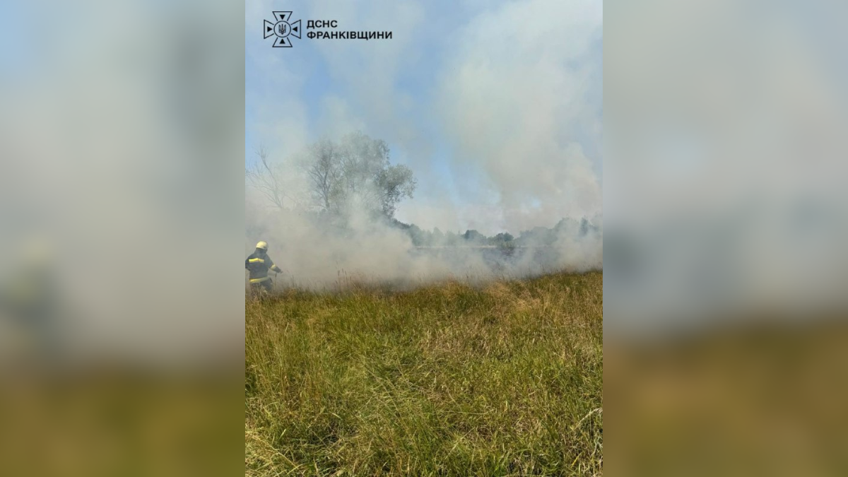 На Прикарпатті за добу ліквідували 16 пожеж