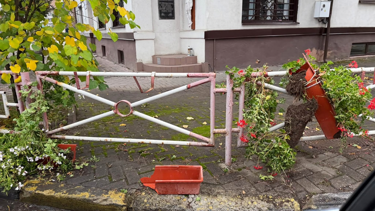 У Надвірній невідомі понищили квіти поруч дороги