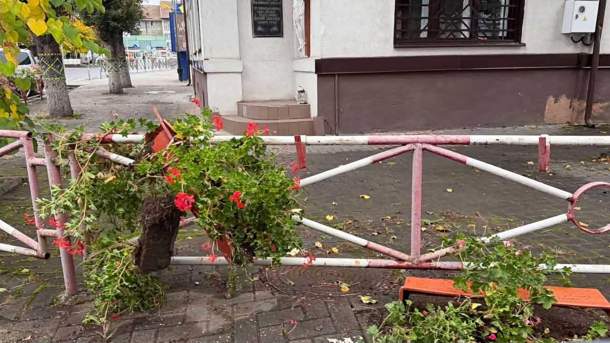 У Надвірній невідомі понищили квіти поруч дороги